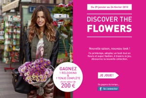 Discover the flowers